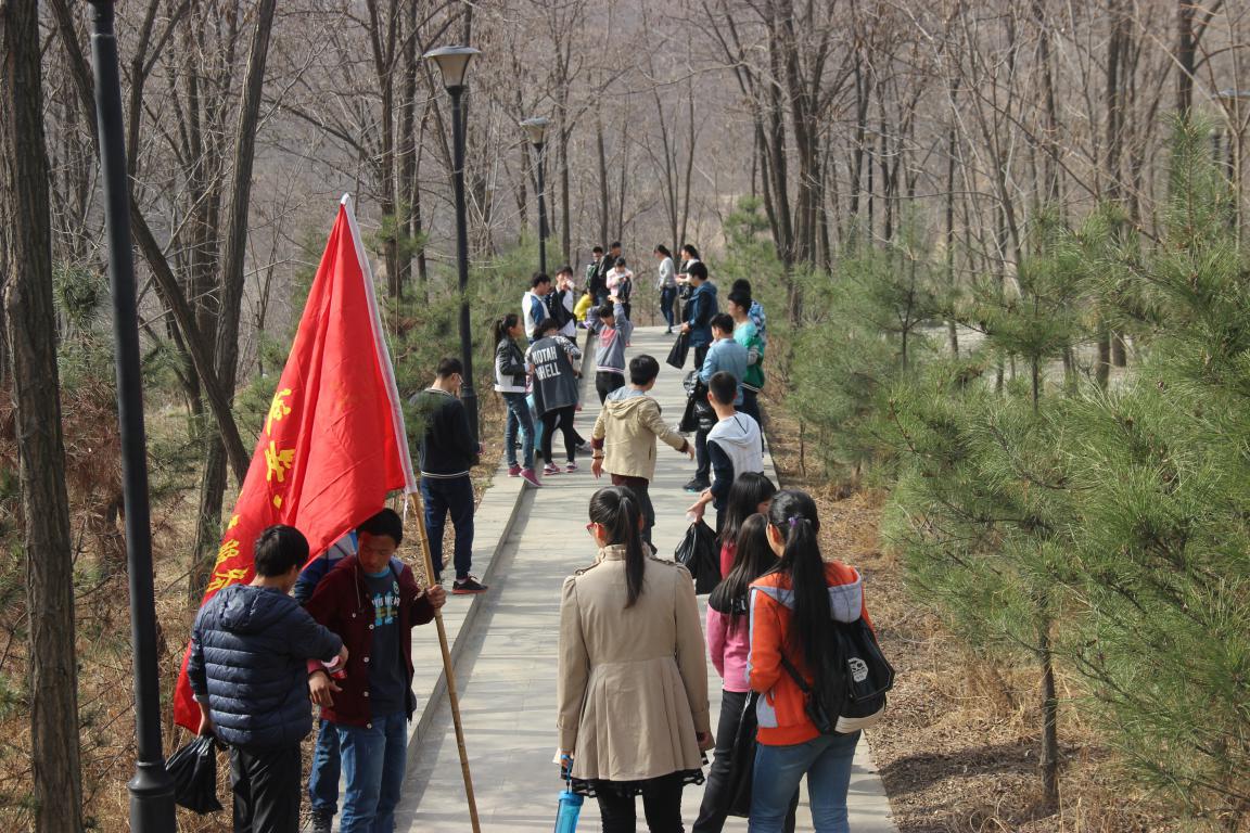 凤凰山清春行动